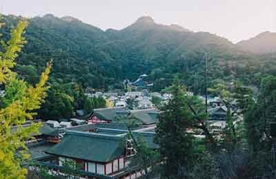 綠化工程管理論文