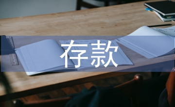 存款組織工作經驗總結