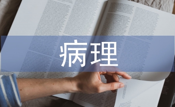 病理學的基本研究方法