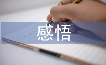 師德師風感悟心得