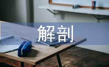 談人體解剖教學中人文理念植入