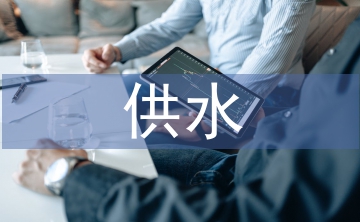 供水公司黨建工作總結