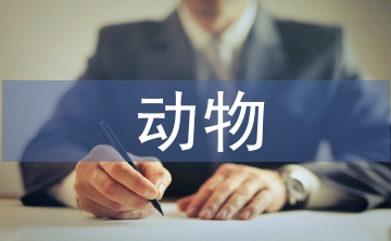 關于流浪動物的問題