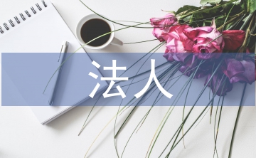 法人擔(dān)保書