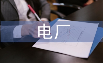 電廠專業(yè)技術(shù)個人總結(jié)