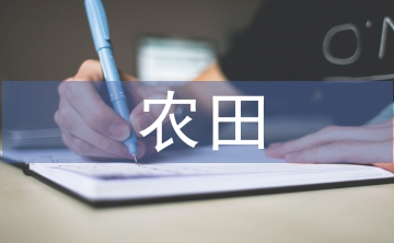 高標準農田項目收益