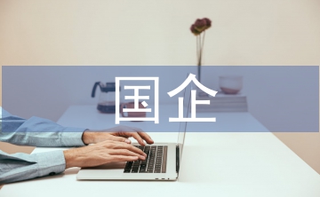 國企單位工作總結
