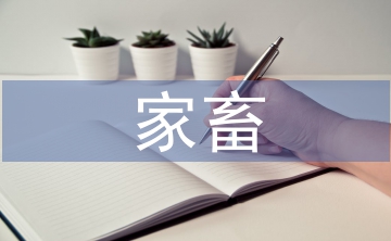 家畜論文
