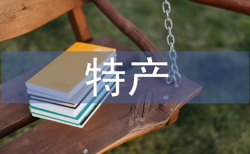 電子商務特產(chǎn)銷售系統(tǒng)技術(shù)分析