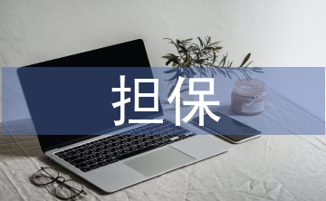 再擔保業(yè)務(wù)風險管理探析