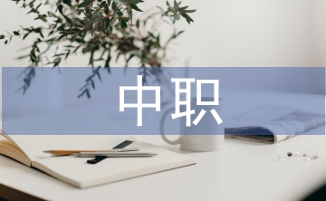 中職班主任論文