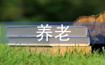 養老產業可行性報告