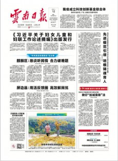 云南日報