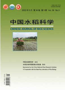 中國水稻科學雜志
