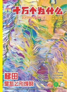 十萬個為什么