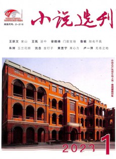小說選刊