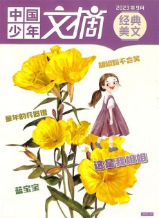 中國少年文摘雜志