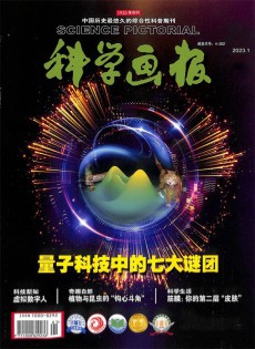 科學畫報