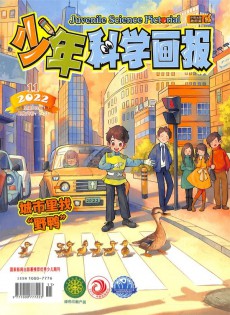 少年科學畫報