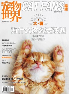 寵物世界